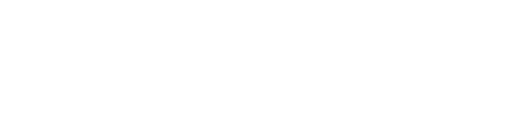 网信大数据信用报告