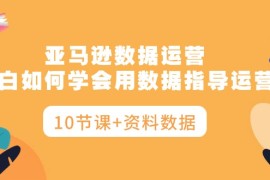 2024跨境电商项目，亚马逊数据运营，小白如何学会用数据指导运营