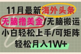 简单项目（13390期）海外头条，无脑搬运撸美金，小白轻松上手，可矩阵操作，轻松月入1W+11-21中创网