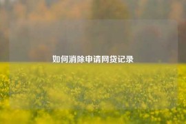 如何消除申请网贷记录