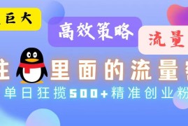 创业项目（13068期）流量蓝海，抓住QQ里面的流量密码！高效策略，单日狂揽500+精准创业粉10-22中创网