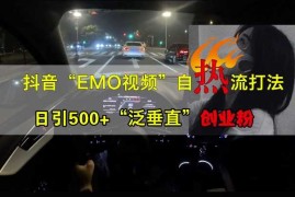 每天抖音EMO视频自热打法，日引500+“泛垂直”创业粉10-17冒泡网