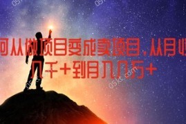 热门项目如何从做项目变成卖项目，从月收入几千到月入几万【揭秘】便宜07月20日冒泡网VIP项目