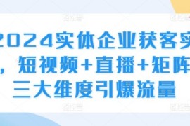 赚钱项目2024实体企业获客实操，短视频+直播+矩阵，三大维度引爆流量10-14冒泡网