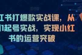 简单项目小红书打爆款实战课，从0到1起号实战，实现小红书的运营突破08-18冒泡网