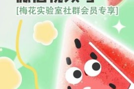 简单项目梅花实验室2024年AB技术视频号AB合成破解版便宜07月09日冒泡网VIP项目