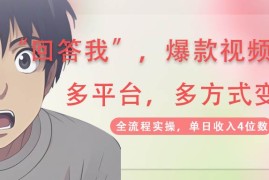 最新项目回答我爆款视频，自带流量，AI拉新分成计划等多方式多平台变现，单日收入4位数03-23福缘网