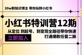 2024小红书项目，小红书特训营12期：从定位 到起号、到变现全路径带你快速打通爆款任督二脉