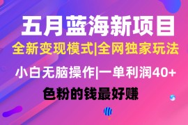 热门热门给力项目项目，五月蓝海项目全新玩法，小白无脑操作，一天几分钟，矩阵操作，月入4万+