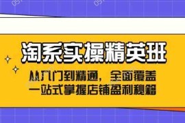 赚钱项目淘系实操精英班：从入门到精通，全面覆盖，一站式掌握店铺盈利秘籍08-24福缘网