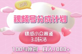 创业项目（12939期）视频号情感小众赛道3.0.纯原创视频，每天1小时，小白易上手10-12中创网