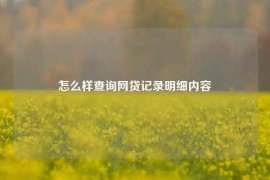 怎么样查询网贷记录明细内容