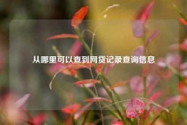 从哪里可以查到网贷记录查询信息