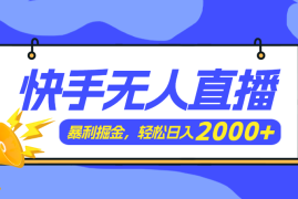 实战（11782期）快手美女跳舞3.0，简单无脑，轻轻松松日入2000+便宜07月25日中创网VIP项目