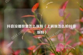 抖音没播放量怎么涨粉（上班族怎么拍抖音涨粉）