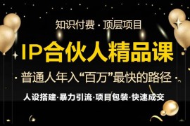 创业项目（13297期）IP合伙人最新精品课程，知识付费全流程+最强引流术+小白避坑指南11-11中创网