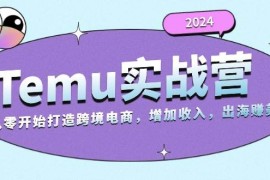 每日（13266期）2024Temu实战营：从零开始打造跨境电商，增加收入，出海赚美金11-08中创网
