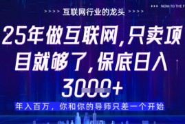 什么！25年你还在找项目做？风口早就变了，卖项目才是稳挣不赔【揭秘】