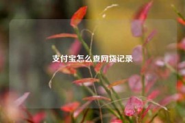 支付宝怎么查网贷记录
