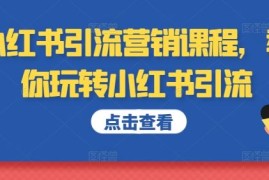 简单项目小红书引流营销课程，教你玩转小红书引流10-15冒泡网