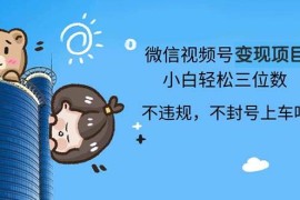 创业项目（13115期）2024最新微信视频号变现项目，小白轻松月入四位数10-26中创网