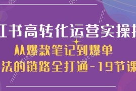很火小红书项目，小红书-高转化运营 实操指南，从爆款笔记到爆单玩法的链路全打通-19节课