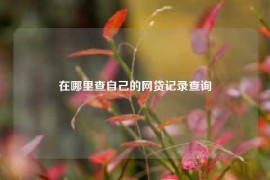 在哪里查自己的网贷记录查询