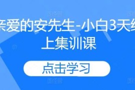 实战亲爱的安先生-小白3天线上集训课10-23冒泡网