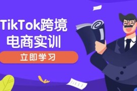 赚钱项目（14289期）TikTok跨境电商实训，开店准备与选品策略，助力新手快速上手,精准运营02-23中创网