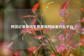 网贷记录查询免费查询网站是什么平台