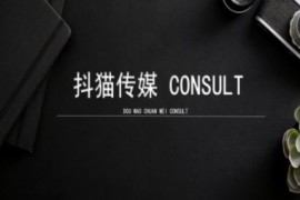 简单项目抖猫学院小红书聚光详细操作流程实操12-26冒泡网