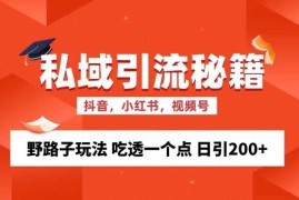 创业项目私域流量的精准化获客方法野路子玩法吃透一个点日引200+ 【揭秘】11-07冒泡网