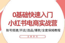 2024小红书项目，0基础快速入门-小红书电商实战营：账号搭建/开店/选品/爆款/全套保姆教程