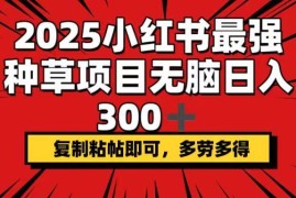 手机项目（14375期）2025小红书最强种草项目，无脑日入300+，复制粘帖即可，多劳多得03-01中创网
