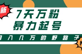 最新项目（13047期）3-7天万粉，快手暴力起号，多种变现方式，新手小白秒上手，单月变现几&#8230;10-21中创网