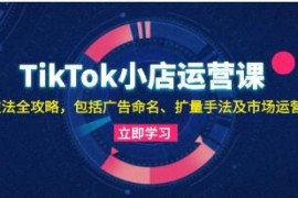 TikTok小店运营课，&#8203;投流技法全攻略连抖音号运营