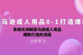 实操跨境电商项目，亚马逊成人用品0-1打造爆款：系统化讲解亚马逊成人用品爆款打造的流程