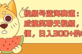 热门项目视频号蓝海赛道：AI生成搞笑聊天视频，操作简便，日入300+的教程【揭秘】便宜07月10日冒泡网VIP项目