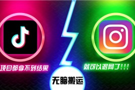 2024最新（13064期）抖音无脑搬运，如果这项目都拿不到结果，你可以退网了10-22中创网
