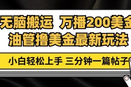 实战（13050期）油管无脑搬运撸美金玩法教学，万播200刀，三分钟一篇帖子，小白轻松上手10-21中创网