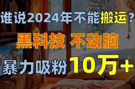 热门创业项目项目，谁说2024年不能搬运？只动手不动脑，自媒体平台单月暴力涨粉10000+