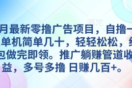 赚钱热门给力项目项目，5月最新零撸广告项目，自撸一天单机几十，推广躺赚管道收益，日入几百+