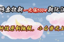 实战热门给力项目项目，网盘拉新一天搞500新玩法，Ai科技原创视频，小白当天上手