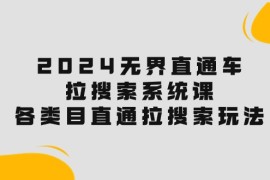 很火国内电商项目，2024无界直通车·拉搜索系统课：各类目直通车 拉搜索玩法！