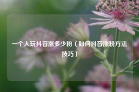 一个人玩抖音涨多少粉（如何抖音涨粉方法技巧）