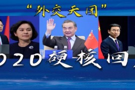 极度舒适！“外交天团”2020的硬核回应