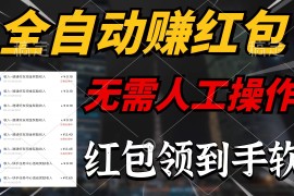 实操热门给力项目项目，全自动赚红包，无需人工操作，每天只需1分钟，红包赚到手软