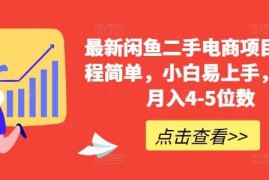 2024最新最新闲鱼二手电商项目，流程简单，小白易上手，副业月入4-5位数!10-21冒泡网