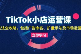 创业项目（13063期）TikTok小店运营课：投流技法全攻略，包括广告命名扩量手法及市场运营方法10-22中创网