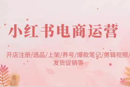 创业项目小红书电商运营：开店注册/选品/上架/养号/爆款笔记/剪辑视频/发货促销等02-13福缘网